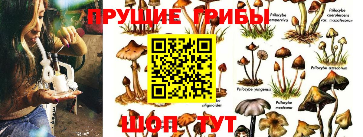 Псилоцибиновые грибы мухоморы Киров