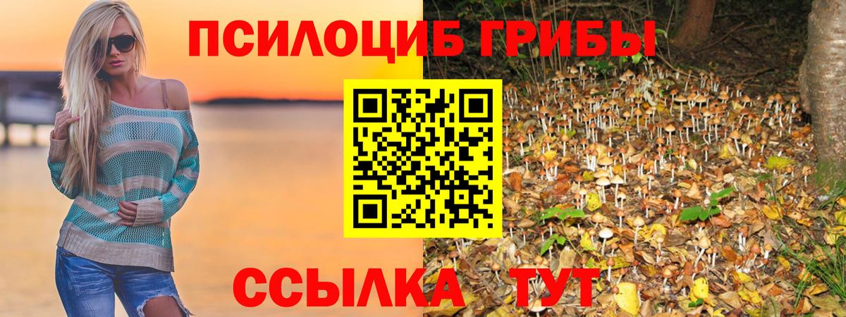 Галлюциногенные грибы Psilocybe  купить закладку  Вход с VPN  Киров  Галлюциногенные грибы MAGIC MUSHROOMS 
